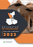 Kecamatan Sei Tualang Raso Dalam Angka 2022